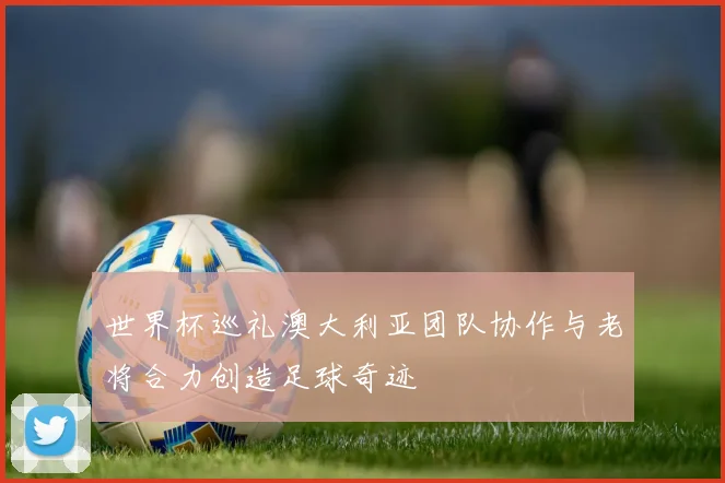 世界杯巡礼澳大利亚团队协作与老将合力创造足球奇迹