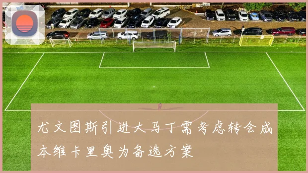 尤文图斯引进大马丁需考虑转会成本维卡里奥为备选方案