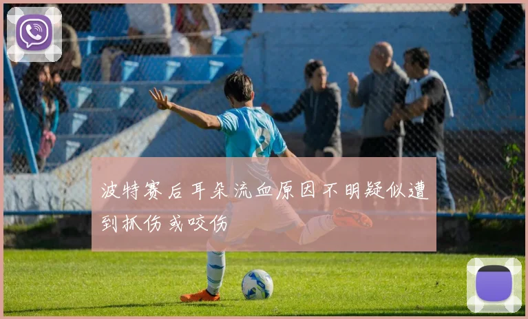 波特赛后耳朵流血原因不明疑似遭到抓伤或咬伤